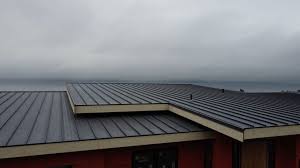 Best Metal Roofing Installation  in Dunthpe, OR